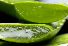 भूख न लगने की और कब्ज की समस्या को दूर करता है एलोवेरा का जूस