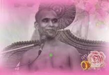 70 साधु संतों का निभाई नगरी में भव्य मंगल मिलन