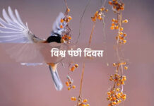 विश्व पंछी दिवस