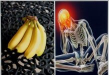 सेरोटोनिन की कमी, कितनी घातक -विद्यावाचस्पति डॉक्टर अरविन्द प्रेमचंद जैन भोपाल