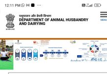 भारी विरोध के बाद जीवित पशुध निर्यात विधेयक 2023 केन्द्र सरकार ने लिया वापस