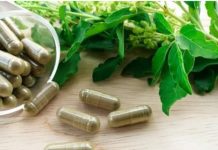 तुलसी, इम्यूनिटी बूस्ट करने के साथ तनाव भी करती है कम —–डॉक्टर अरविन्द प्रेमचंद जैन भोपाल