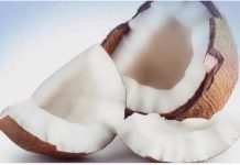 विश्व नारियल दिवस – विद्यावाचस्पति डॉक्टर अरविन्द प्रेमचंद जैन भोपाल