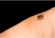 चिकनगुनिया—-विद्यावाचस्पति डॉक्टर अरविन्द प्रेमचंद जैन भोपाल