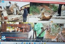 जी २० सम्मेलन – गाँधी जी की समाधि पर समर्पित करना कितना उचित