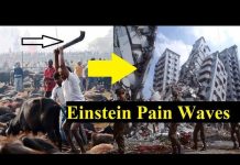 लाश खाना छोड़ो और शाकाहारी बनो