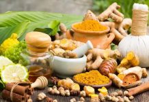 विश्व शाकाहारी दिवस – विद्यावाचस्पति डॉक्टर अरविन्द प्रेमचंद जैन भोपाल