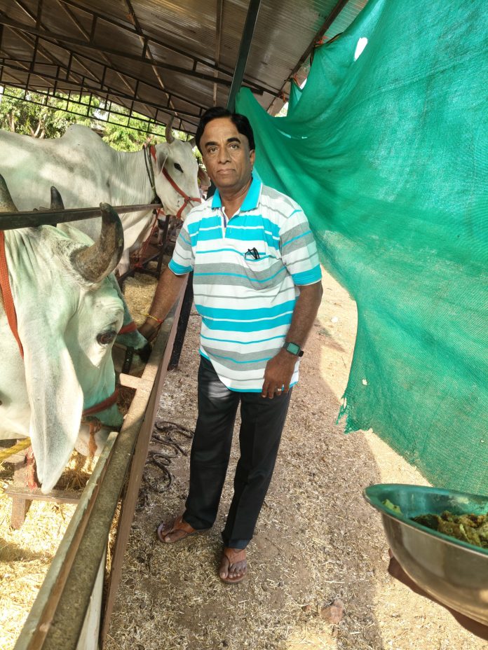 सर्वेश्वर गोशाला परतापुर में गौ माता को कोठिया ने गुड खिला जन्मदिन मनाया