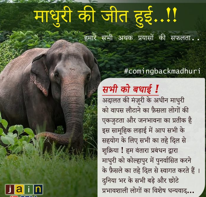 माधुरी की वापस नादंनी मठ आने का संकेत मिला माधुरी हथनी की जीत हुई..!!