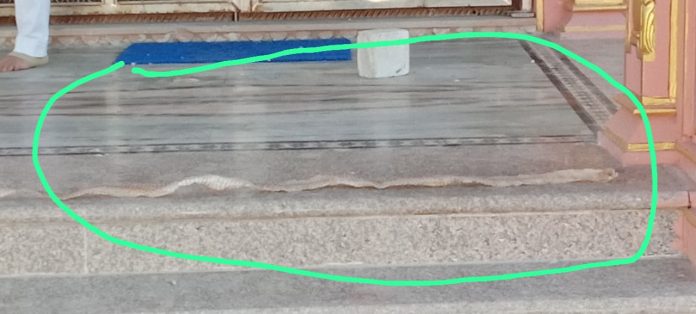 WhatsApp Image 2025-12-10 at 12.54.25 PM