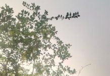 महावीर इंटरनेशनल की रात्रि चौपाल के आज के मुख्य वक्ता हंसमुख जैन गांधी कलिंजरा…