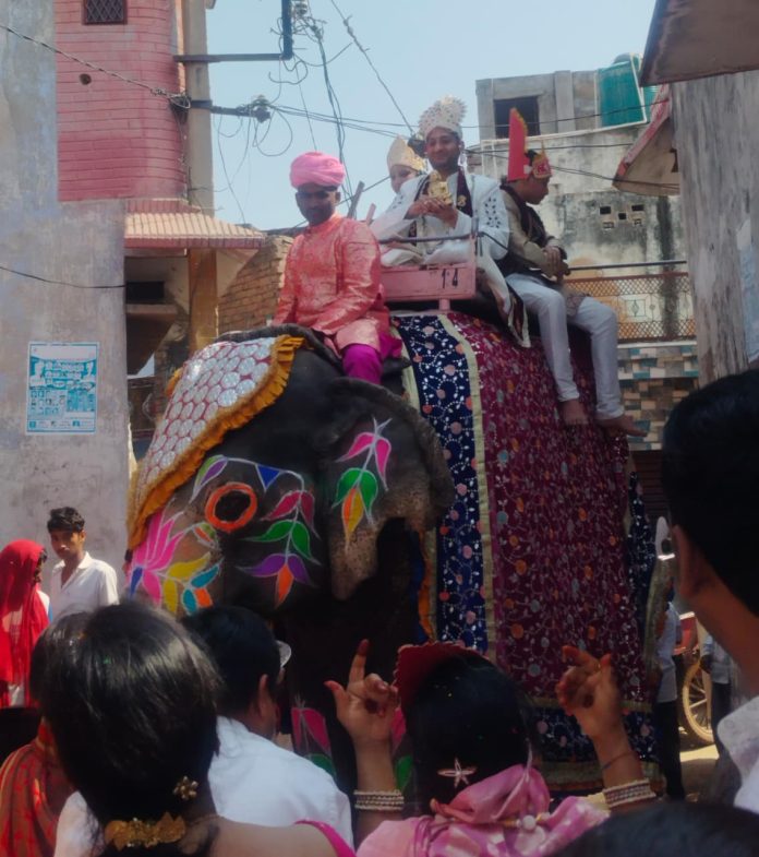 WhatsApp Image 2026-02-18 at 11.42.20 AM