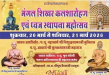 श्री पार्श्वनाथ दिगंबर जैन मंदिर में मंगल शिखर कलशारोहण एवं ध्वज स्थापना महोत्सव