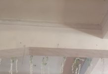 भगवान सुमतिनाथ जन्म, कैवल्य ज्ञान एवं मोक्ष कल्याणक पर्व मनाया