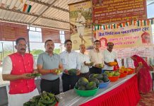 दुर्गापुरा गोशाला में जीसीएफ ट्रस्ट द्वारा गौमाता को 56 भोग का किया वितरण