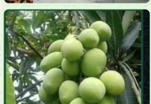 वर्तमान की जिंदगी