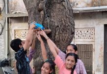 सीकर शहर में भीषण गर्मी में मूक पक्षियों के लिए बांधे परिंडे